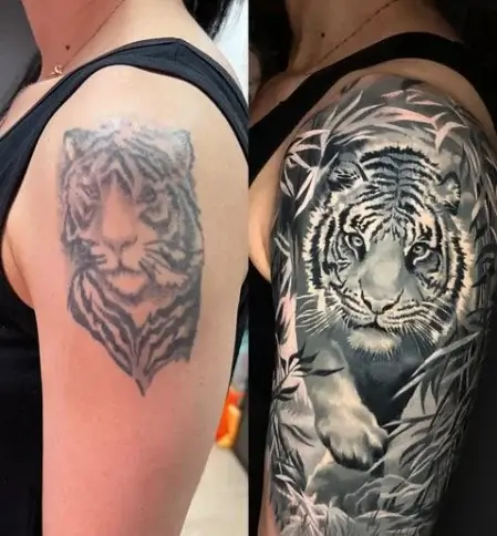 Lion cover up tattoo ideas